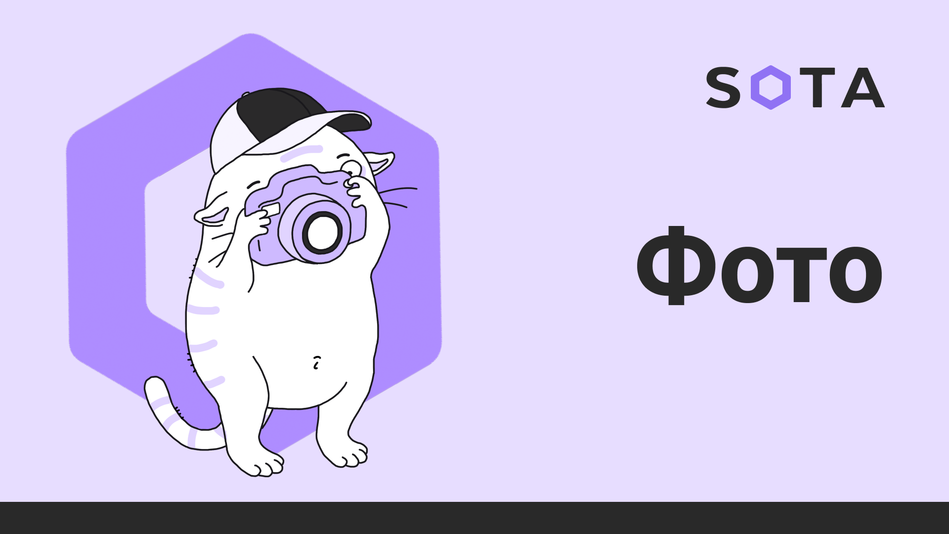 Фоторепортажи — SOTA